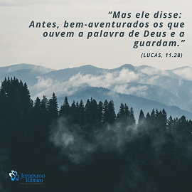 Momento Vibracional