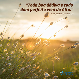 Momento Vibracional